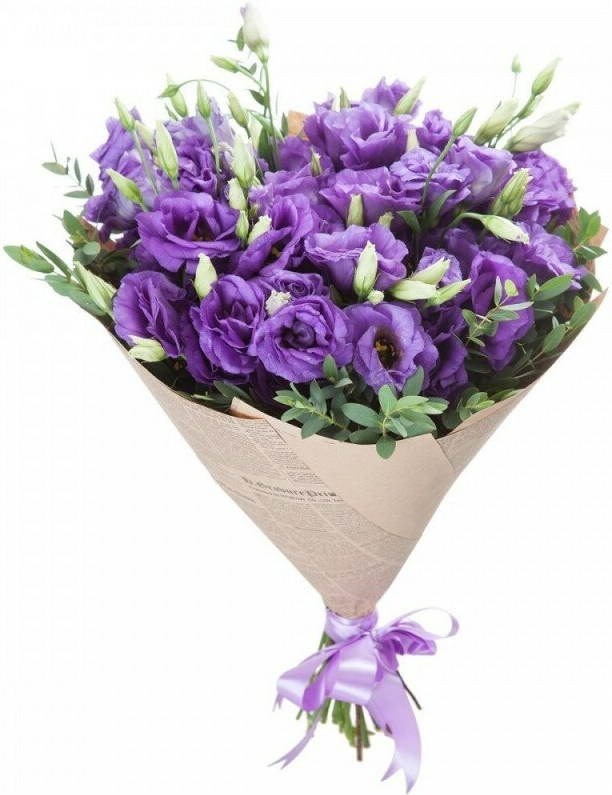 Фиолетовая эустома Фиолетовая эустома