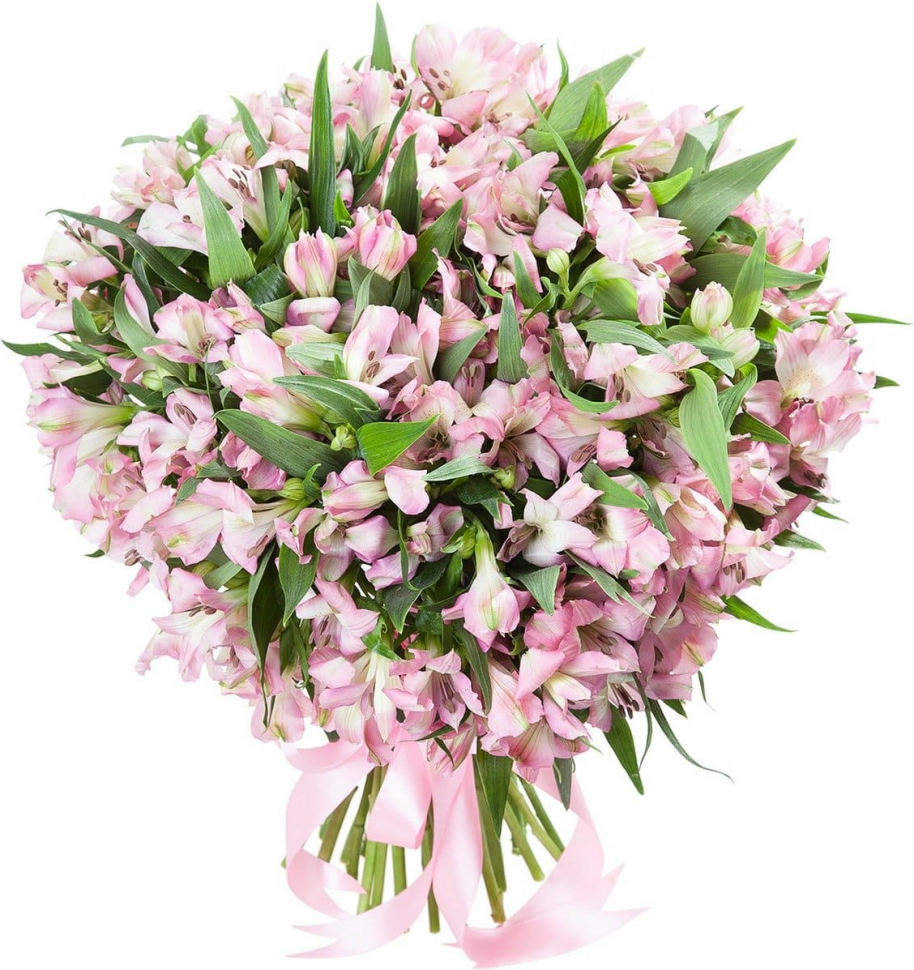 Розовые альстромерии